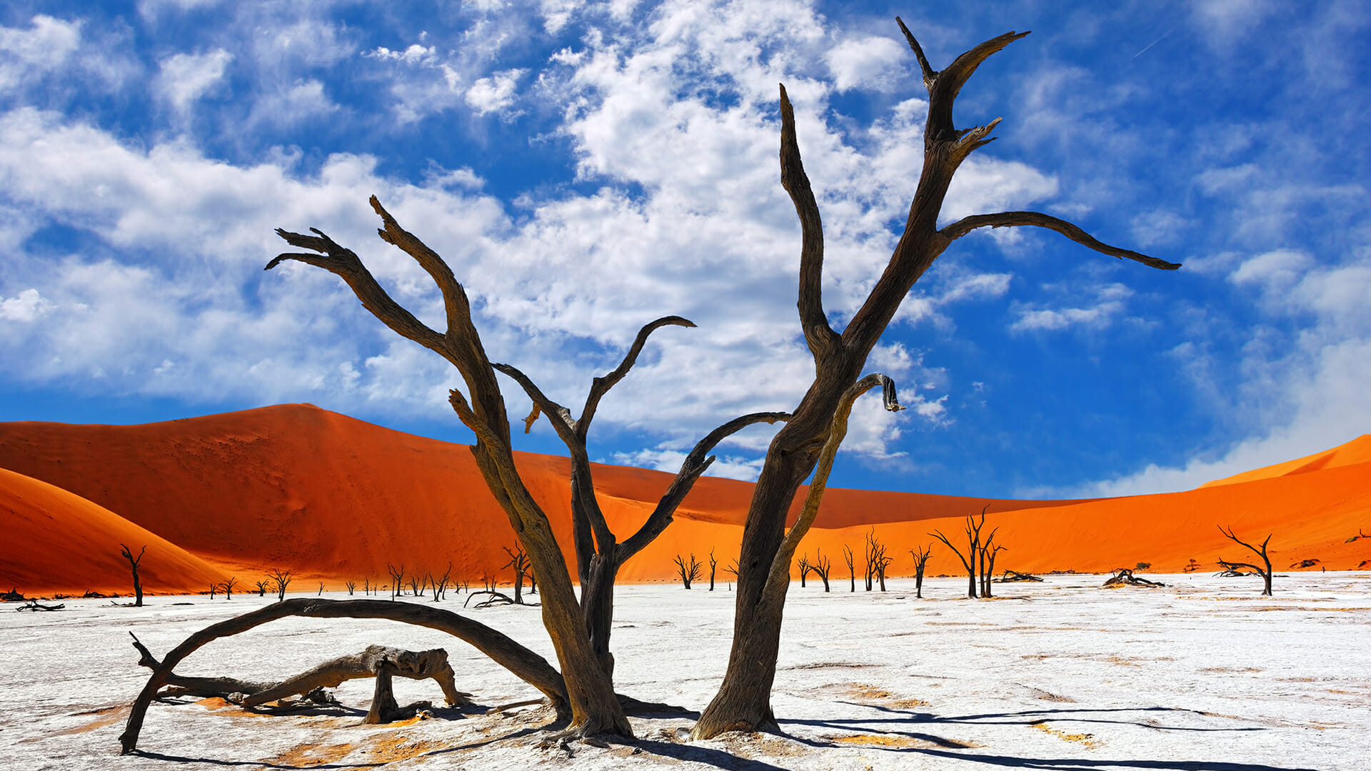 Пустыня Намиб18